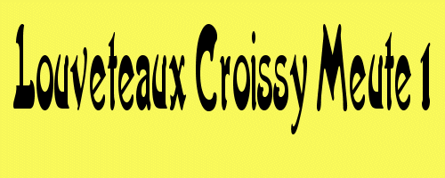 Louveteaux Croissy meute1